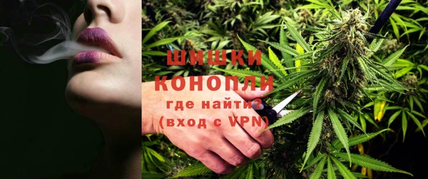 прущие грибы Лихославль