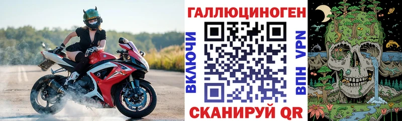 магазин продажи   Павлово  Псилоцибиновые грибы Psilocybe 