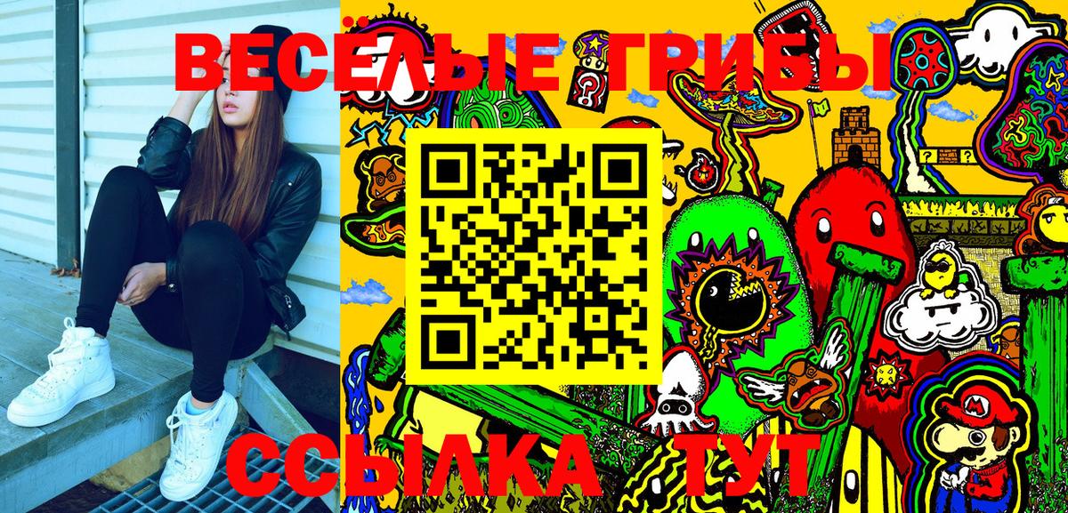 Псилоцибиновые грибы Psilocybe  Вход с VPN  Павлово 